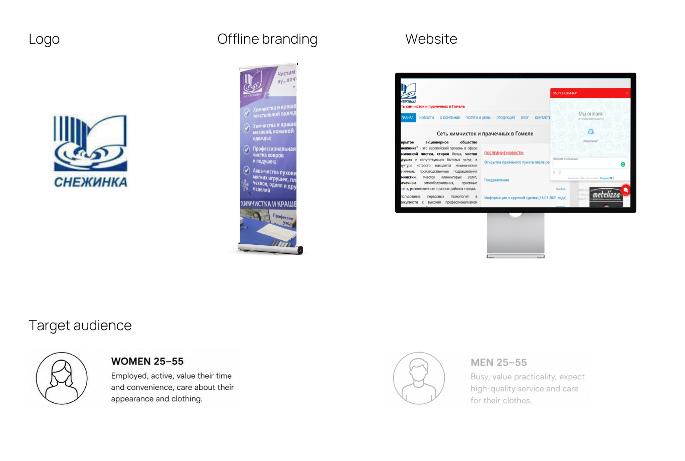 Snezhinka brand audit and target audience analysis